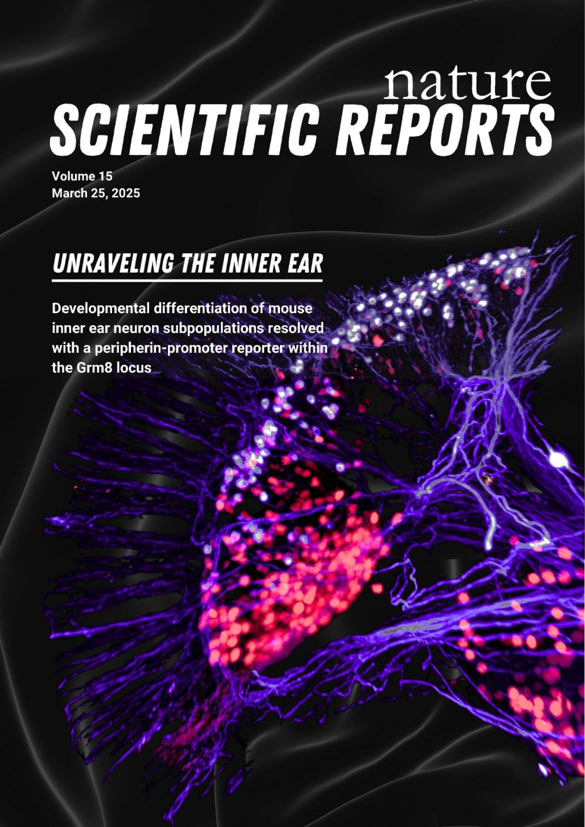 Scientific Reports cover